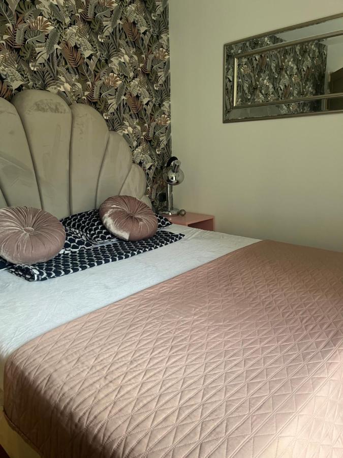Roman Residence Apartment Borşa المظهر الخارجي الصورة