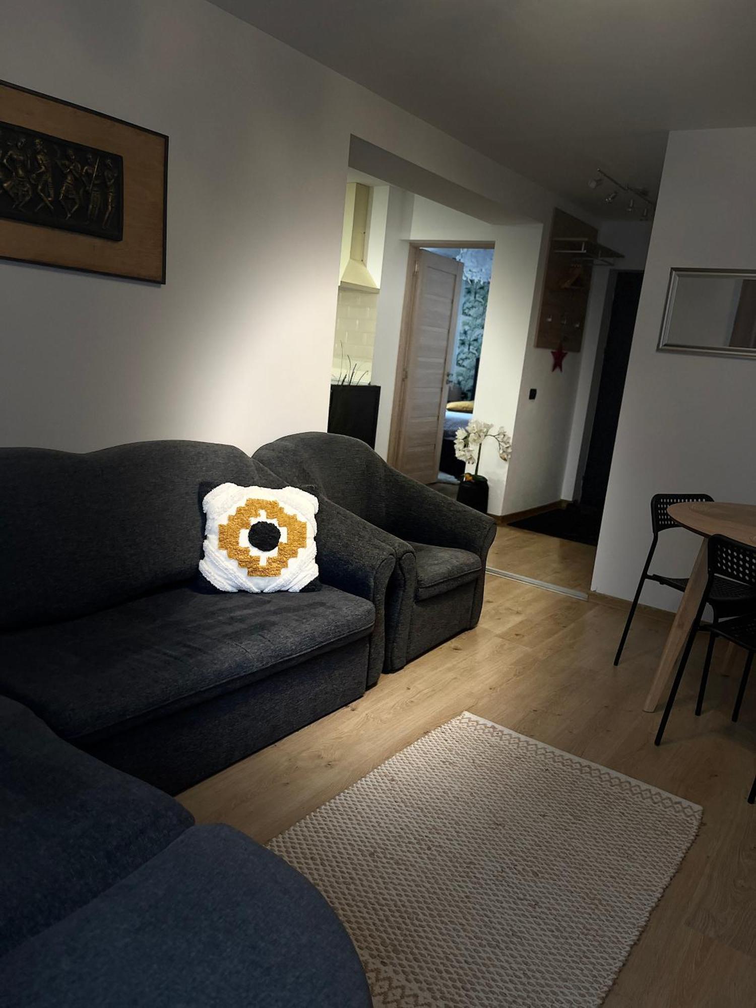 Roman Residence Apartment Borşa المظهر الخارجي الصورة