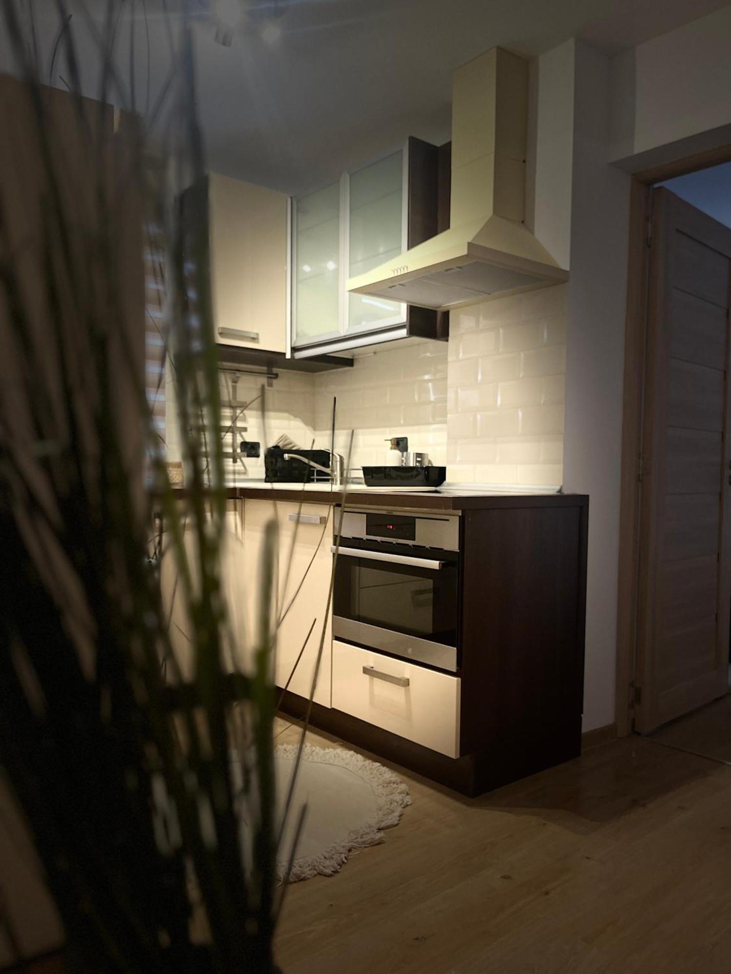 Roman Residence Apartment Borşa المظهر الخارجي الصورة