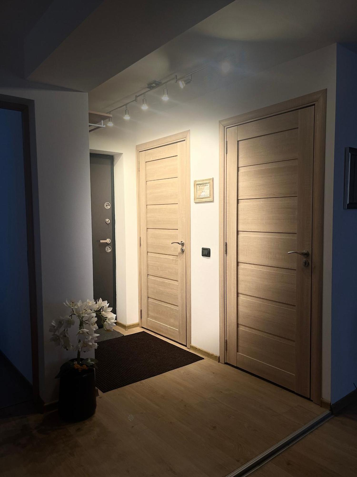 Roman Residence Apartment Borşa المظهر الخارجي الصورة