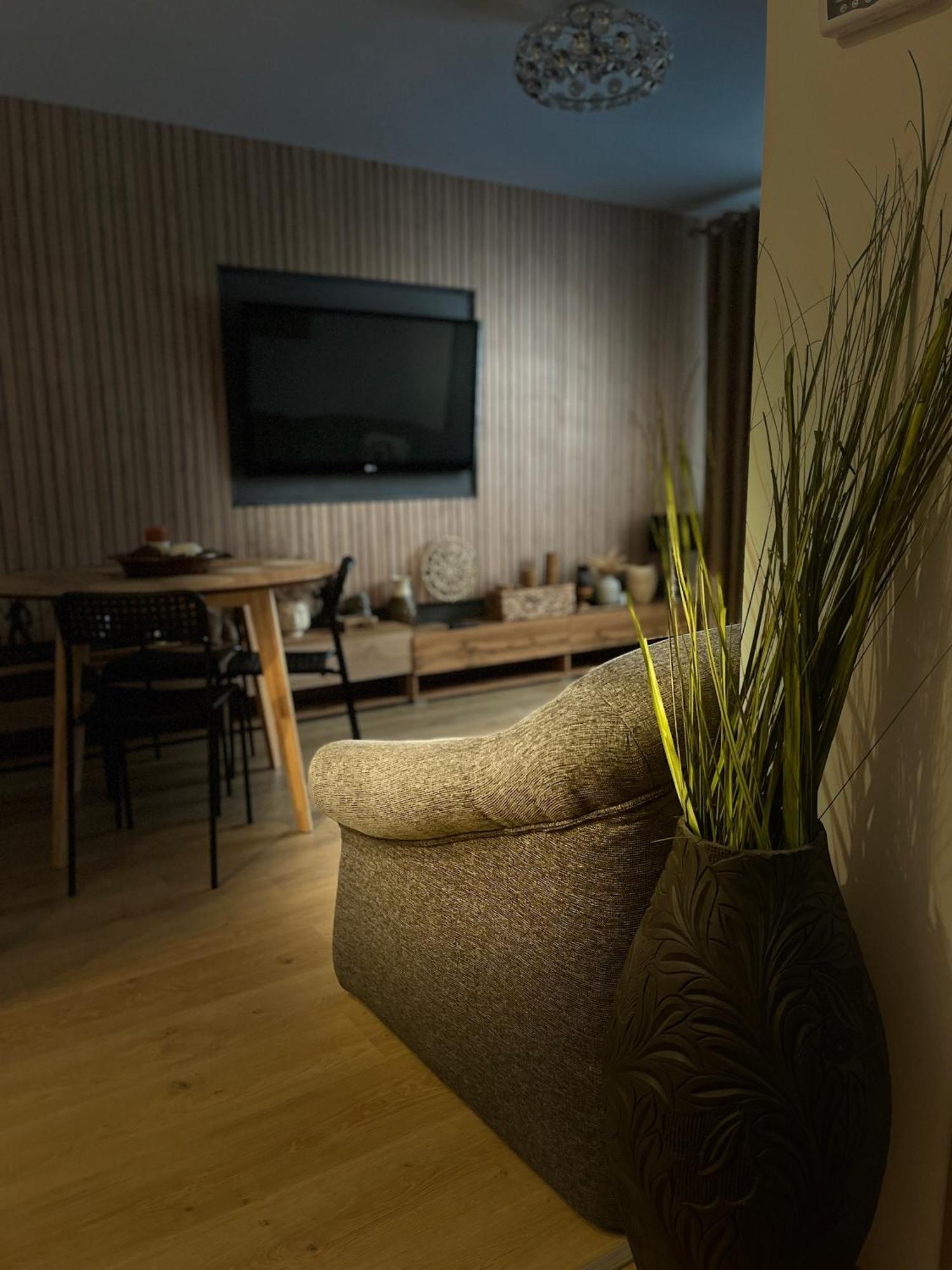 Roman Residence Apartment Borşa المظهر الخارجي الصورة